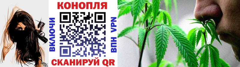 Где купить наркотики Старица Канабис  Меф  Кодеин  ГАШ 